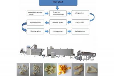 Leisure food production line