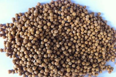 Aquatic Feed Equipment