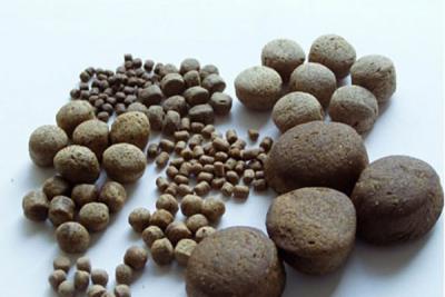Catfish Feed Processing Equipment