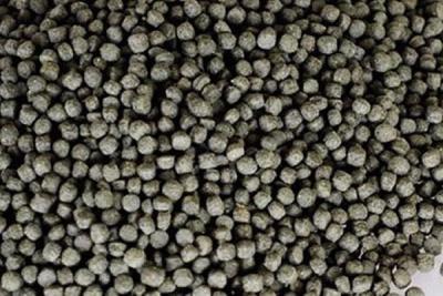 Fish Feed Processing Equipment