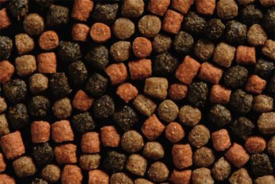 Large Pet Food Production Line