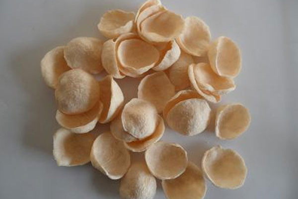 Catfish Feed Processing Equipment