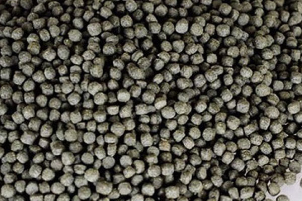 Fish Feed Processing Equipment