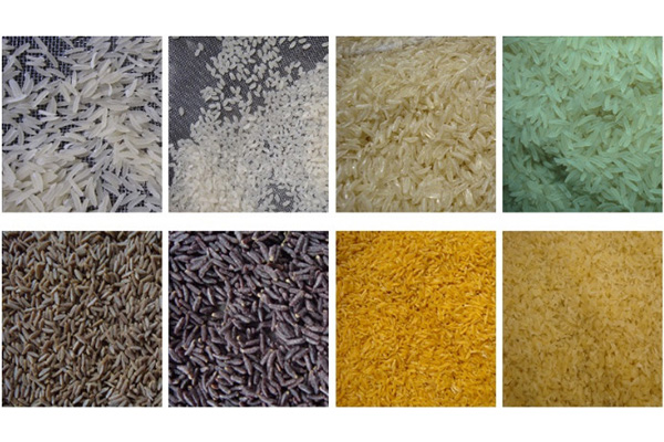 Nutrition Rice Production Line
